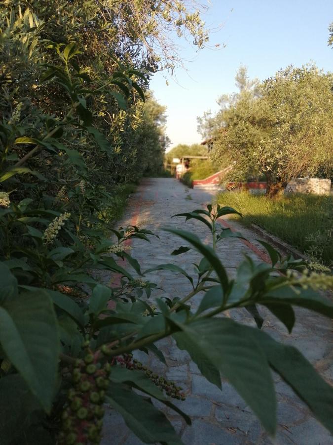 Xaroula Apartments Ierissós Zewnętrze zdjęcie